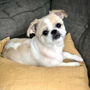 Don’t lie down and miss out on my super deals!